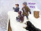 Проект Winter Wars