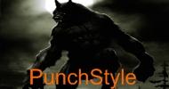 Проект PunchStyle